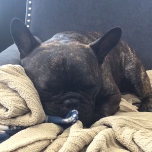 Meet your Posher, Diane